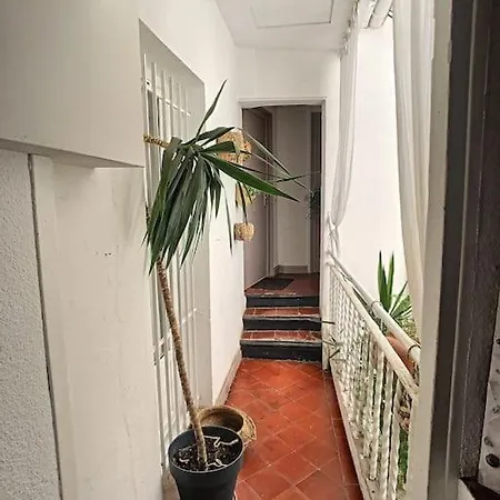 Duplex Calme En Coeur De Perpignan